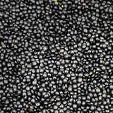 Organic Black Beluga Lentils bulk