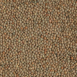 Organic Spanish Brown Lentils