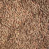 Organic Red Lentils (Whole)