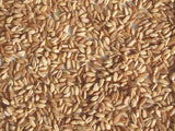 Organic Farro, Semi-Pearled