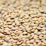 Organic Green Lentils