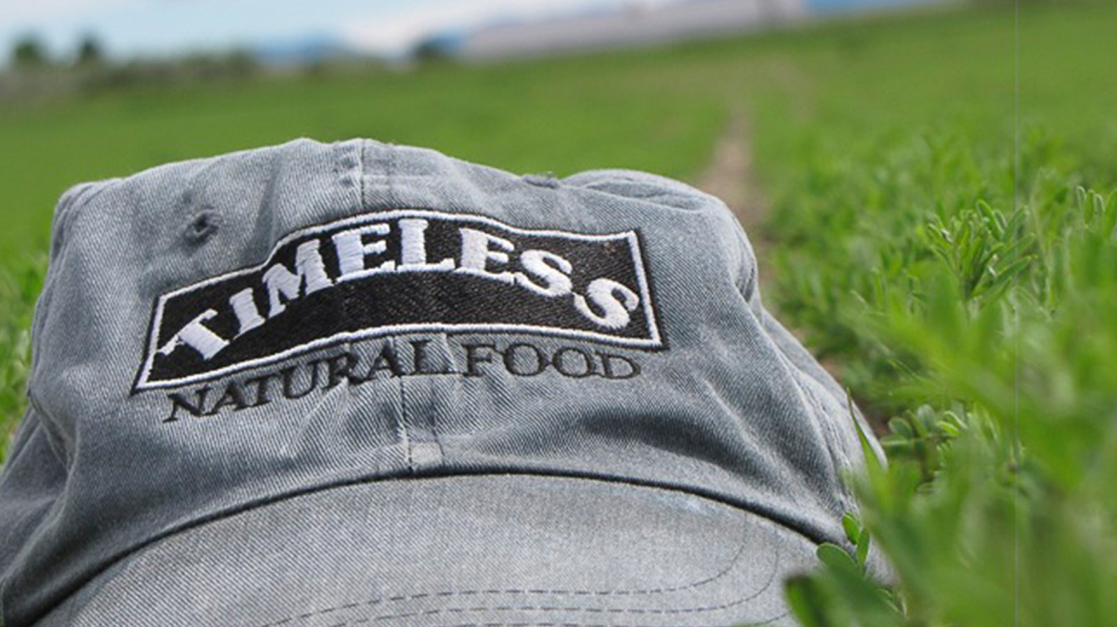 Timeless Natural Food – Timeless Natural Food®
