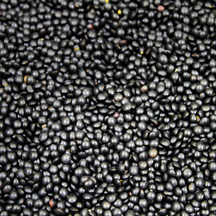 Organic Black Beluga Lentils bulk