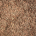 Organic Red Lentils (Whole)